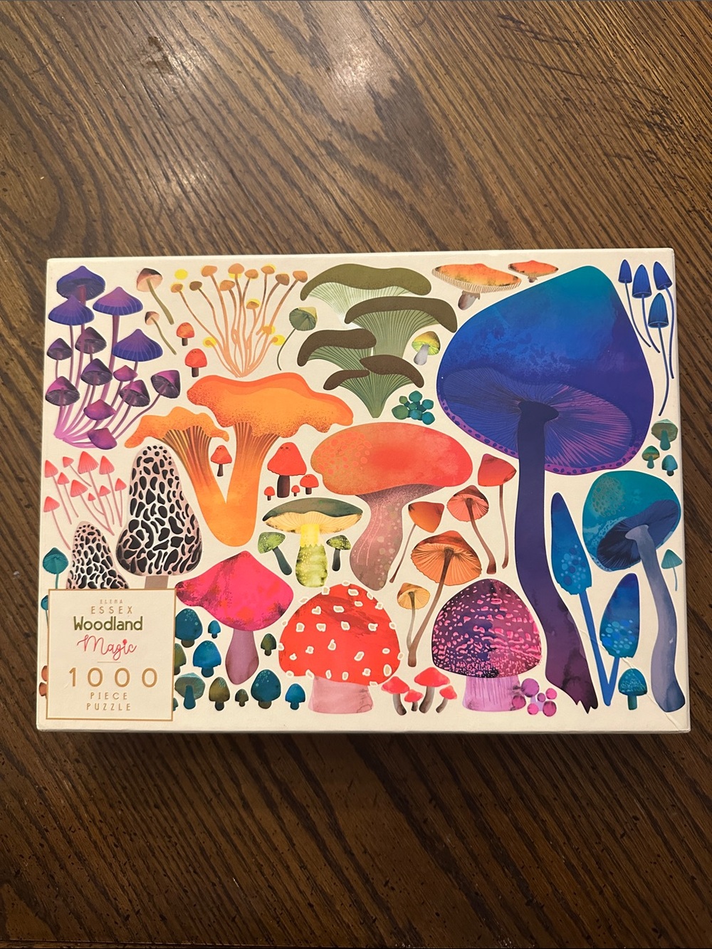 Essex Woodland Magic 1000-Piece Puzzle - Colorful Mushrooms - COMPLETE